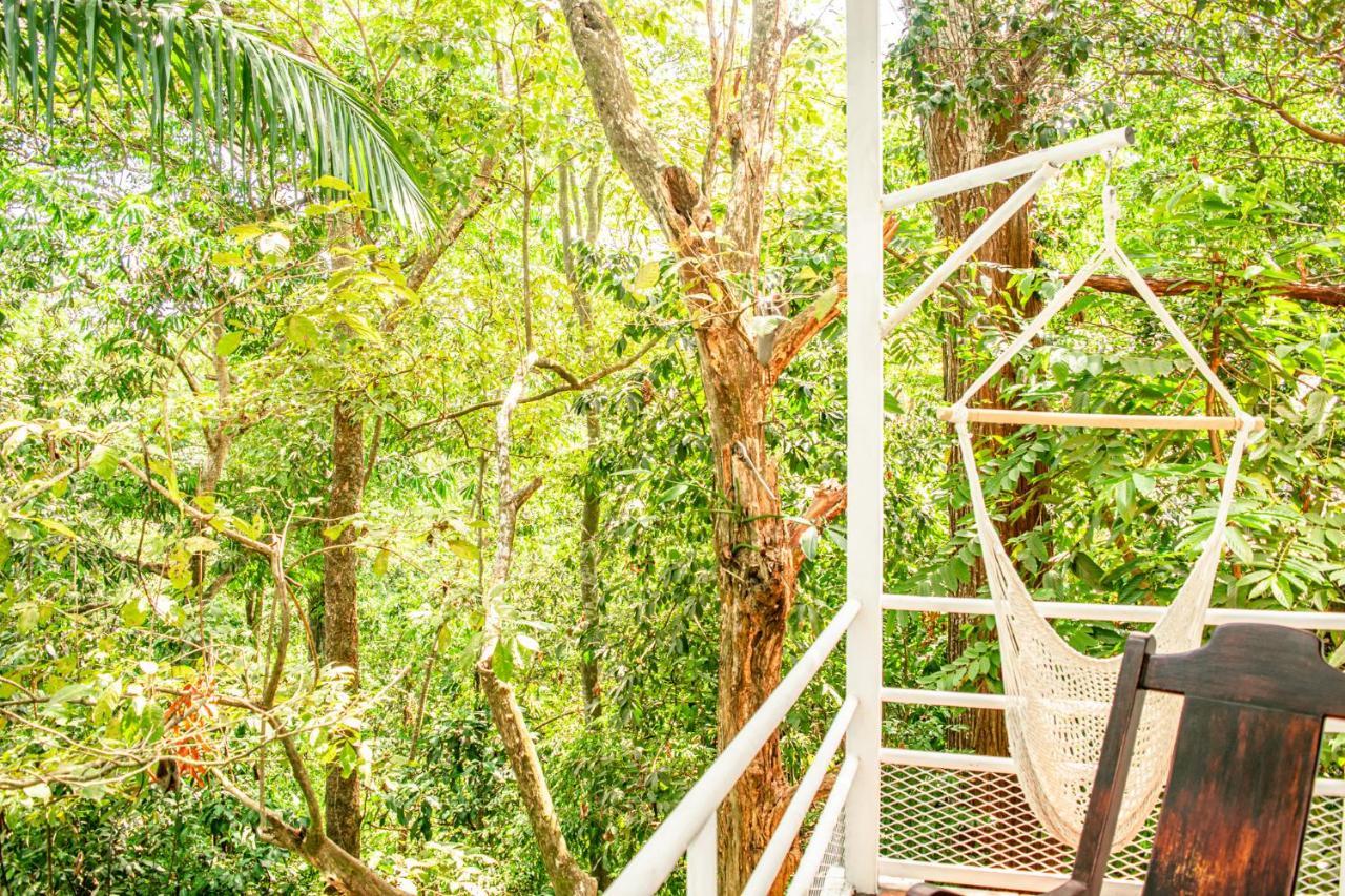 Casa Valentina - Ocean, Nature, Relax, Central Quepos Ngoại thất bức ảnh